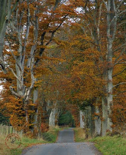 Scottish Borders 9P64D-120.JPG